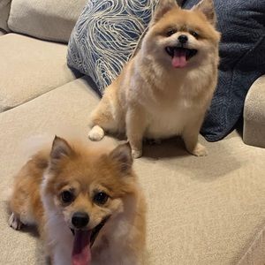 Meet your Posher, Graciela